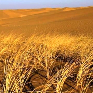 ���������ˡ����ģ���Į����