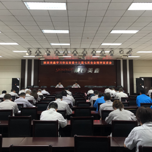 ������ι�˾���_�й����ʡίʮ�����ߴ�ȫ���������v��