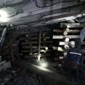 �V�I(y��)��˾ұƺú�V1301������س��A�M���