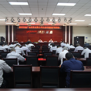 ��˾�e�k2021�����B(t��i)�h(hu��n)�����o��Ӗ��