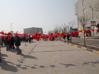 �����h�h�R�´� �g��ϲ���[Ԫ��