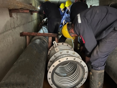 ��(zh��ng)�֊Z��ץ���� ȫ���Ը������a(ch��n)