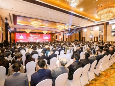 ������ι�˾��ϯ2025�Ї�(gu��)��(gu��)�H�X�I(y��)��